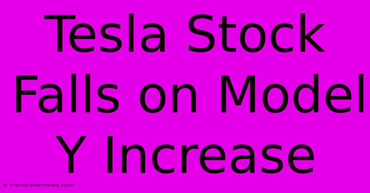 Tesla Stock Falls On Model Y Increase