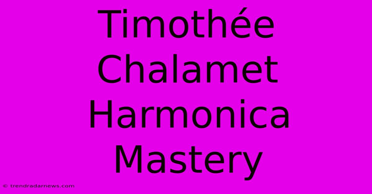 Timothée Chalamet Harmonica Mastery