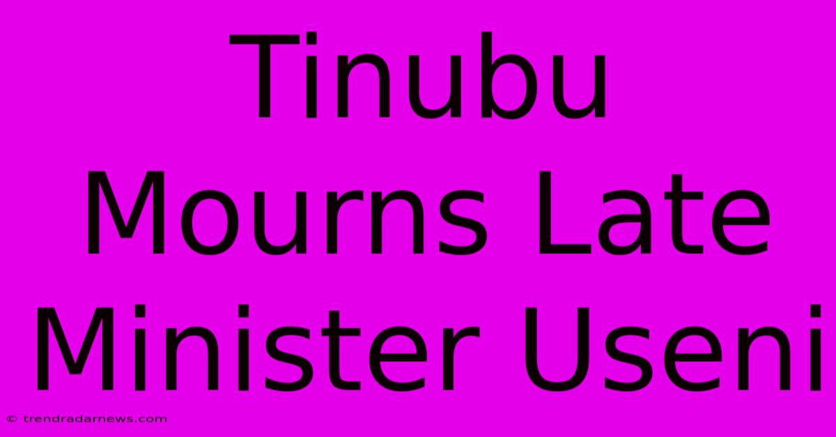 Tinubu Mourns Late Minister Useni