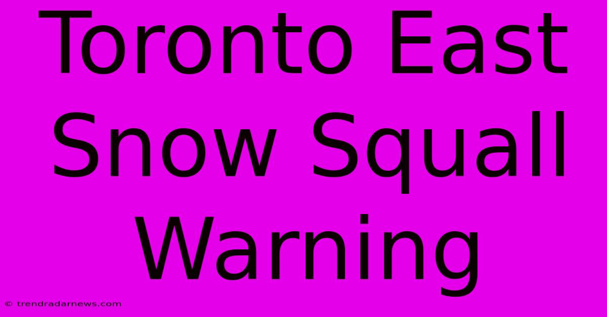 Toronto East Snow Squall Warning