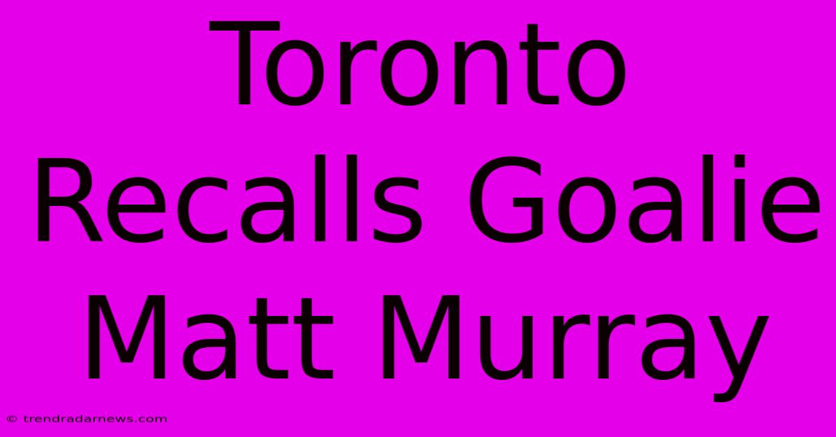 Toronto Recalls Goalie Matt Murray