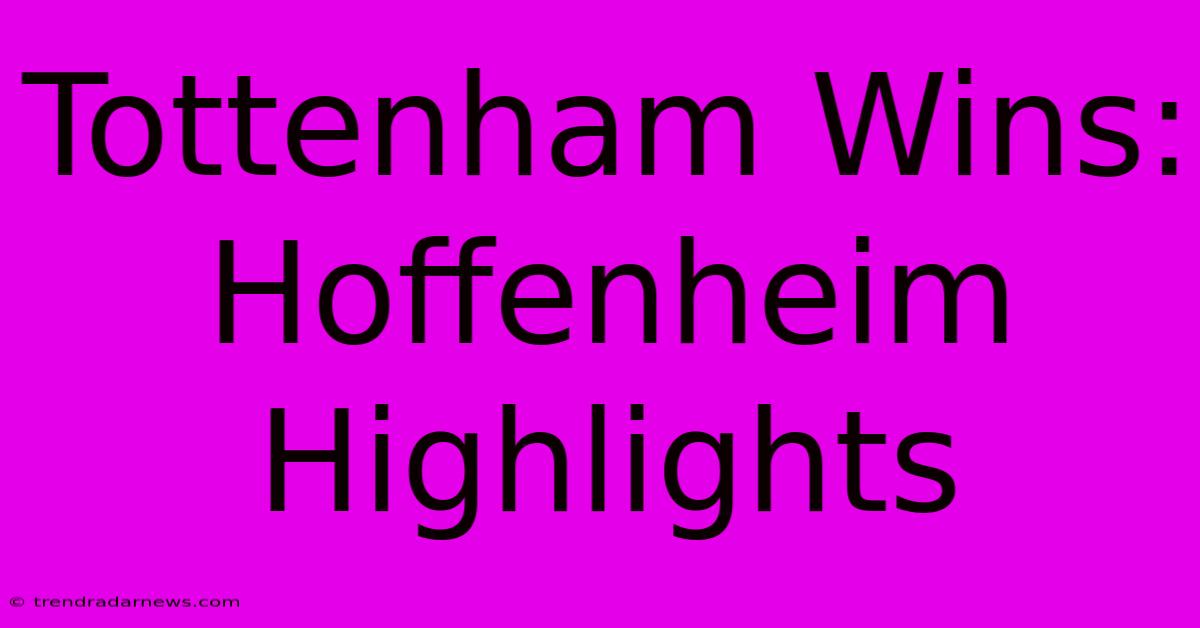 Tottenham Wins: Hoffenheim Highlights