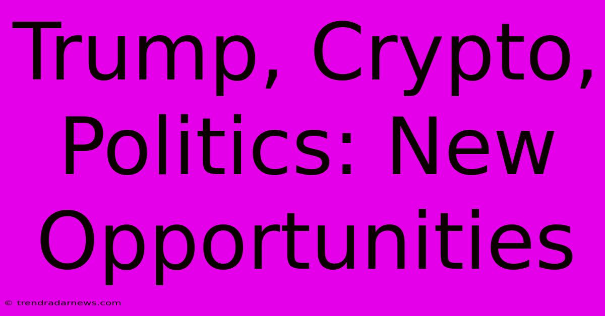 Trump, Crypto, Politics: New Opportunities