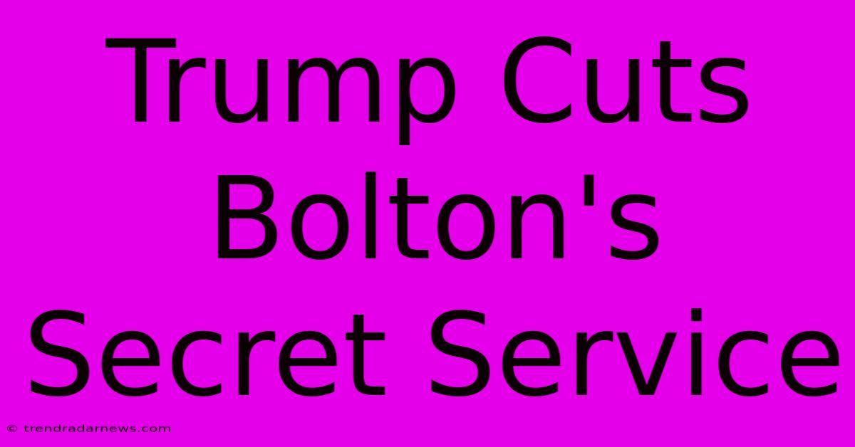 Trump Cuts Bolton's Secret Service