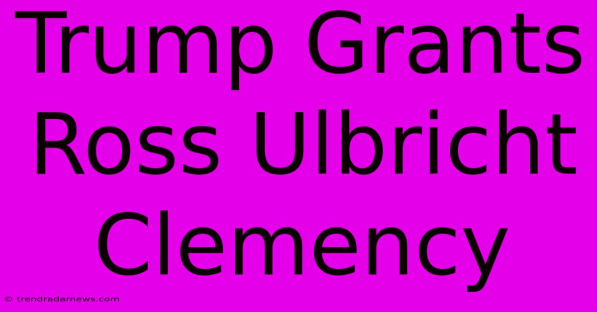 Trump Grants Ross Ulbricht Clemency