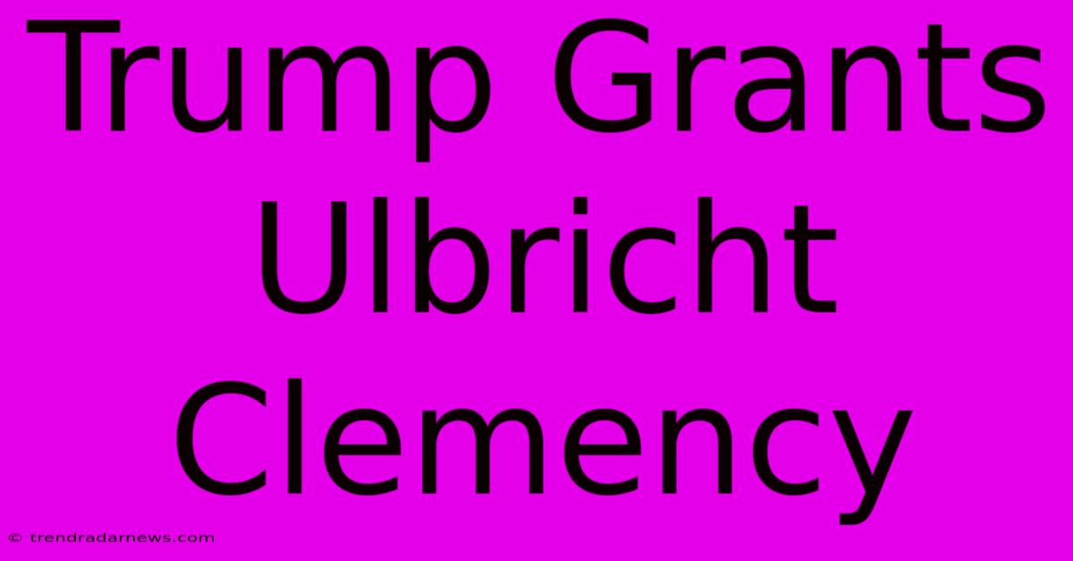 Trump Grants Ulbricht Clemency