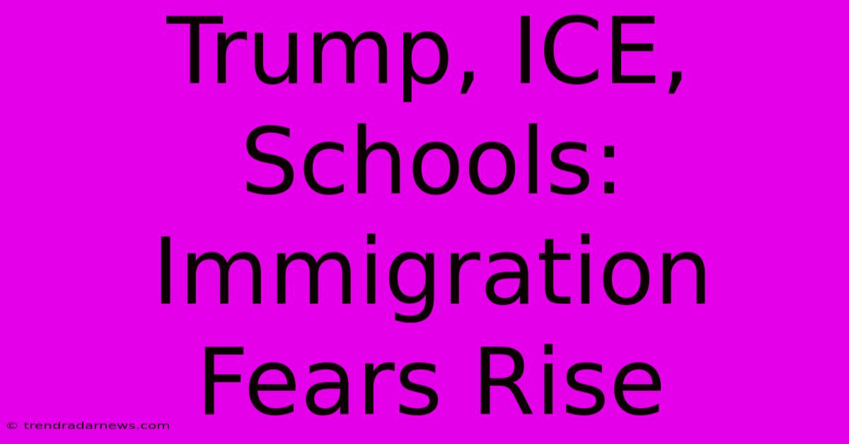 Trump, ICE, Schools: Immigration Fears Rise