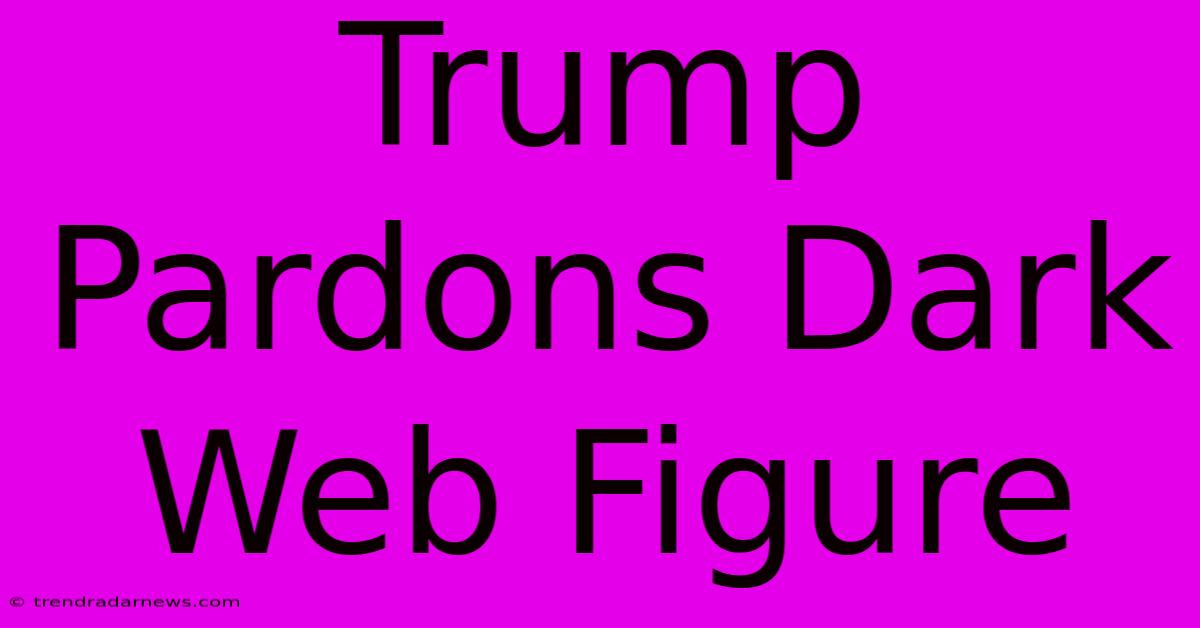 Trump Pardons Dark Web Figure