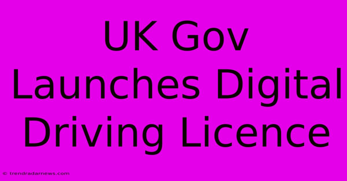 UK Gov Launches Digital Driving Licence