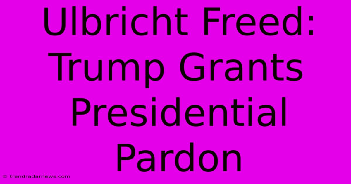 Ulbricht Freed: Trump Grants Presidential Pardon