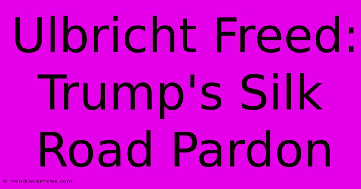 Ulbricht Freed: Trump's Silk Road Pardon