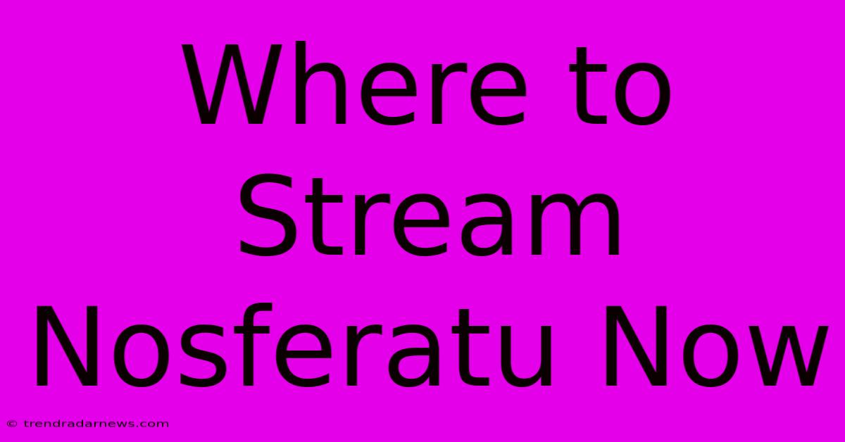 Where To Stream Nosferatu Now