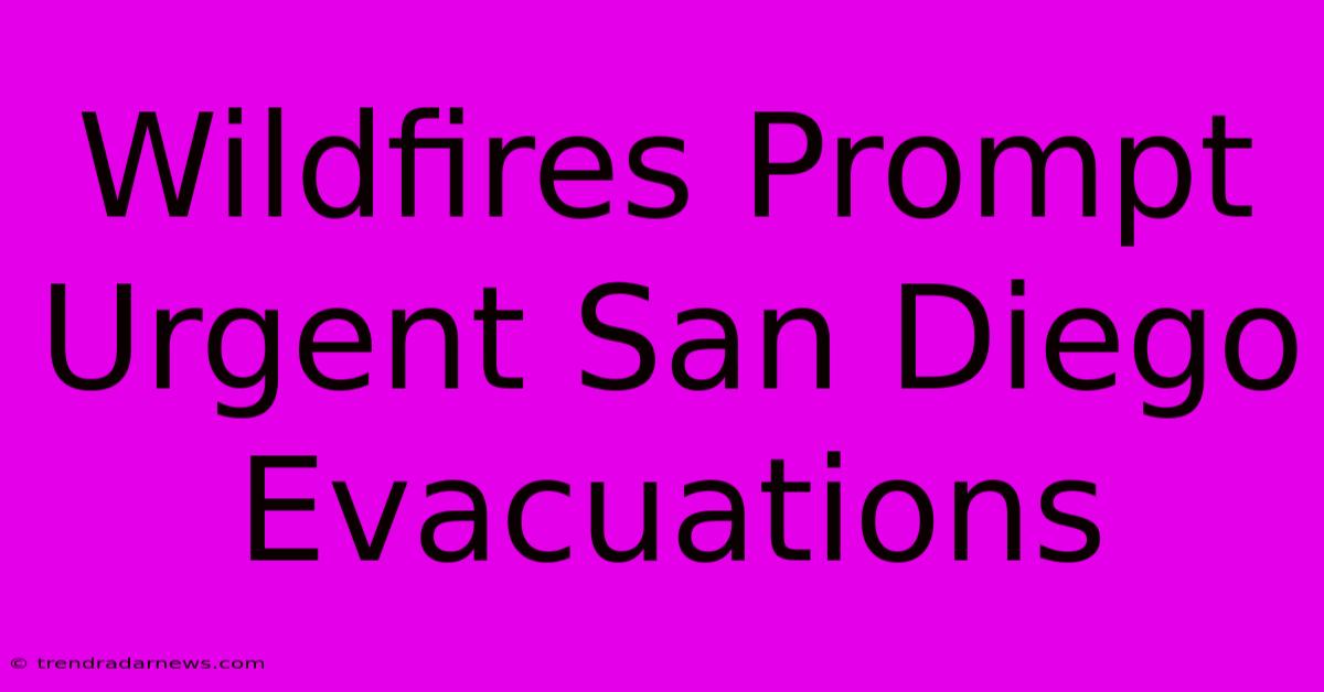 Wildfires Prompt Urgent San Diego Evacuations